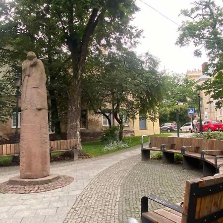 利沃夫Вірменська 14 Центр З Балконом Не Далеко Від Ж Д Вокзалу Звітні Документи公寓 外观 照片